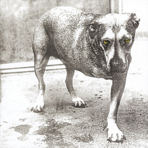the album cover for Alice In Chains - Alice in Chains