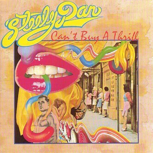the album cover for Steely Dan - Can&