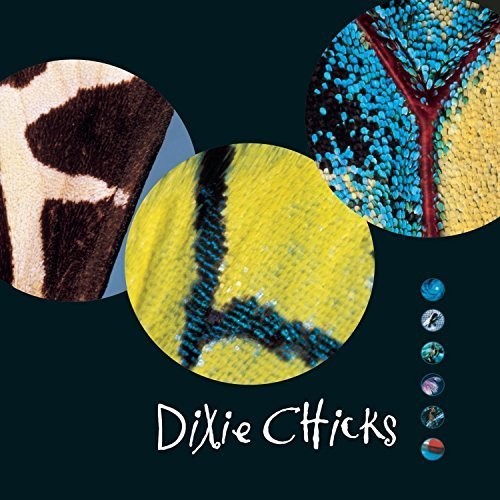 the album cover for The Chicks - Fly