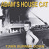 the album cover for Adam&