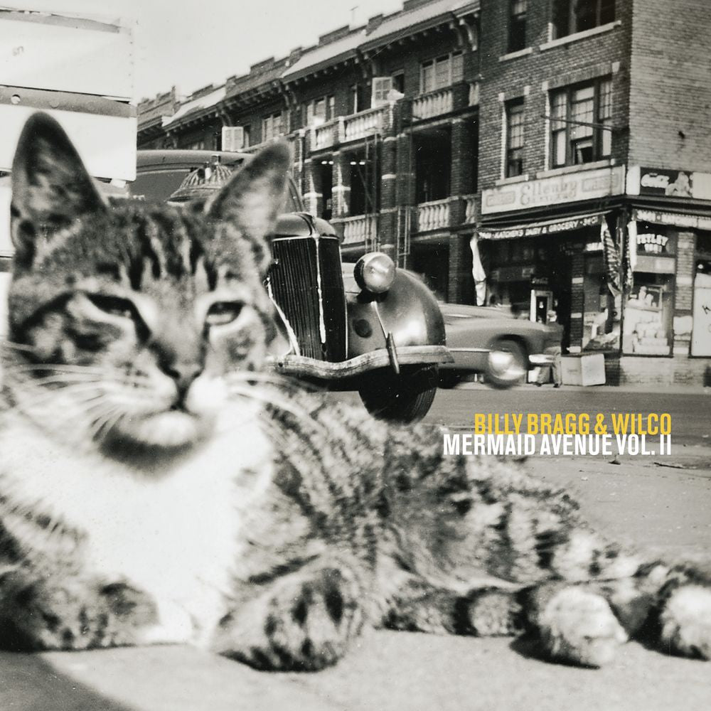 the album cover for Billy Bragg &amp; Wilco - Mermaid Avenue Vol. II - [180g Black]