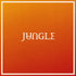 the album cover for Jungle - Volcano [LP]
