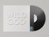 the album cover for Nick Cave & The Bad Seeds - Wild God [LP]