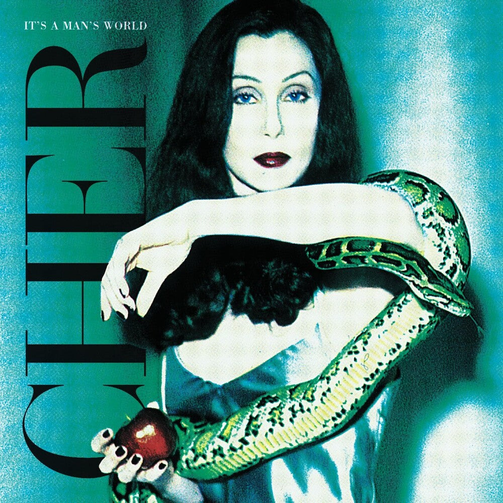 the album cover for Cher - It&