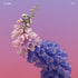 the album cover for Flume - Skin [Pink]