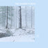 the album cover for Mighty Theodore - The Colder It Gets [Silver]