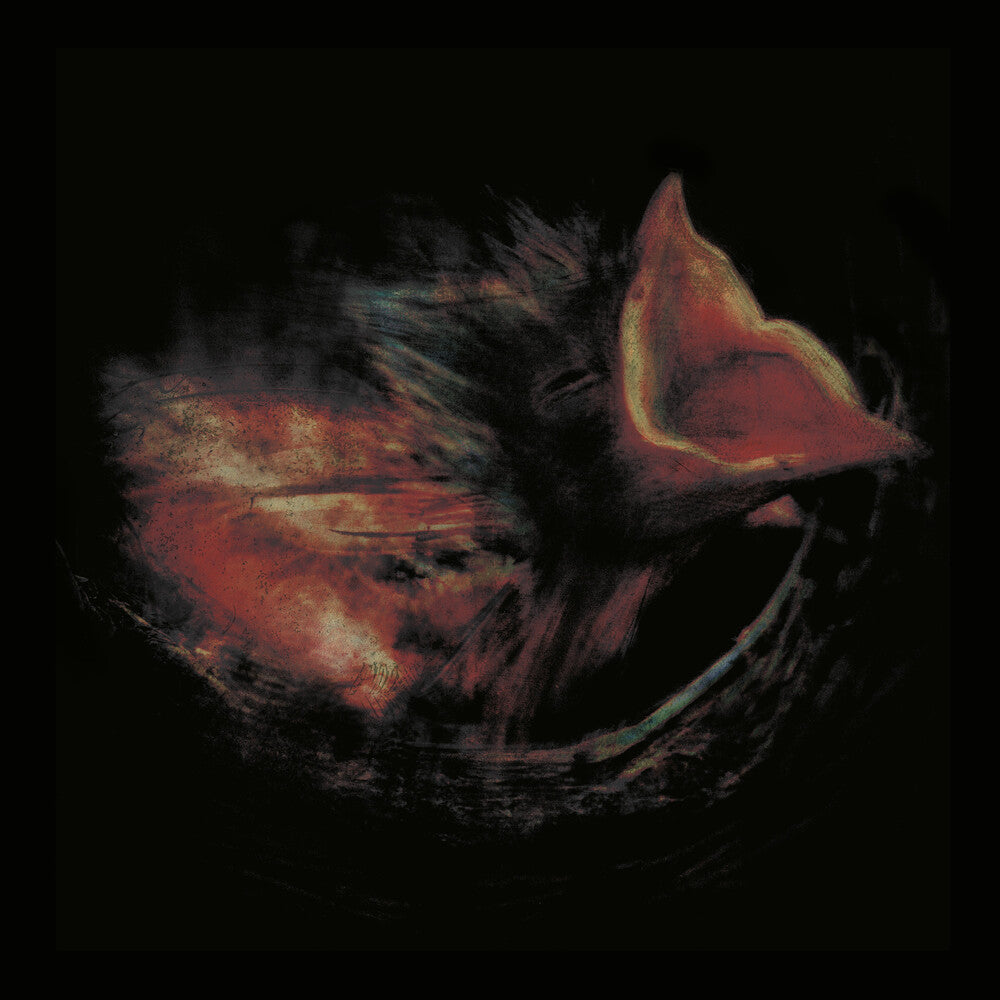 the album cover for Gurriers - Nobody&