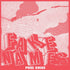 the album cover for Fake Names - Punk Ruins
