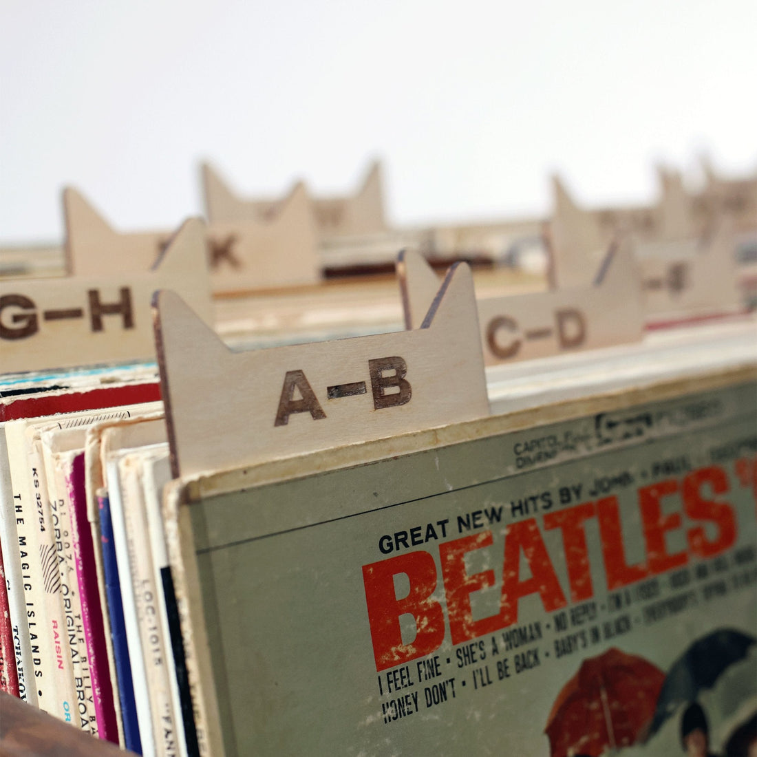 The Vinyl Record Dividers – Solid Wood Organizers
